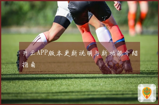 开云APP版本更新说明与新功能介绍指南