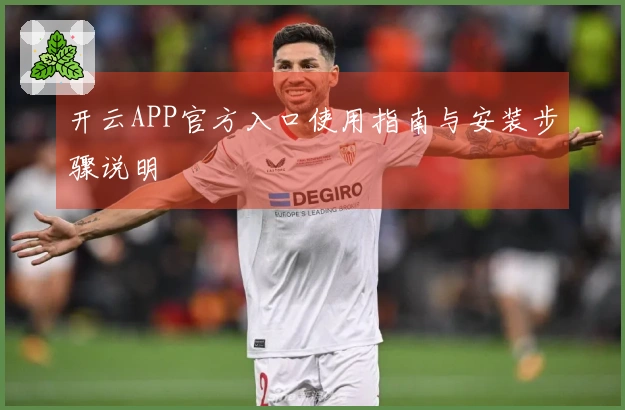 开云APP官方入口使用指南与安装步骤说明